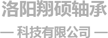 洛陽翔碩軸承科（kē）技有限公司